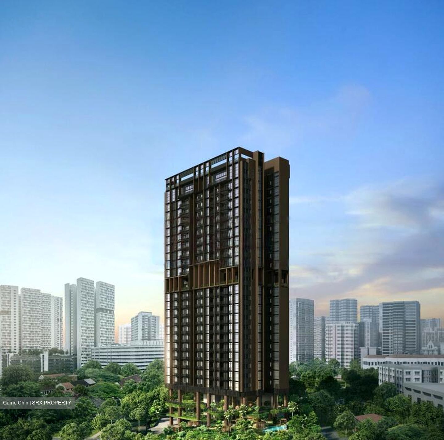 THE ARCADY AT BOON KENG (D12), Apartment #424702091